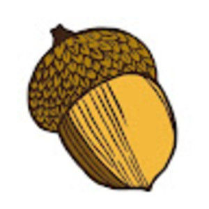 Meet your Posher, Max